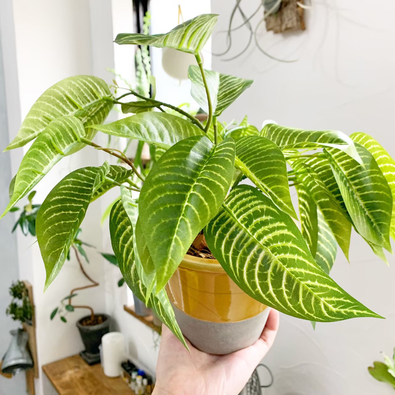 ディフェンバキア|おしゃれなフェイクグリーン・人工観葉植物通販