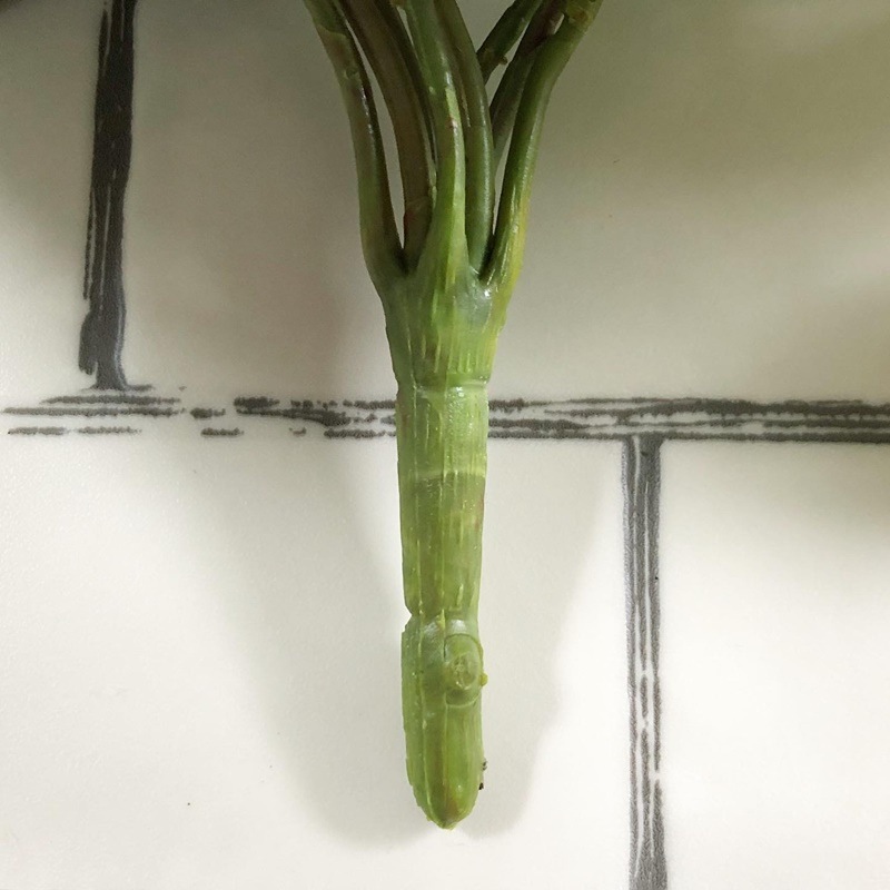 ディフェンバキア