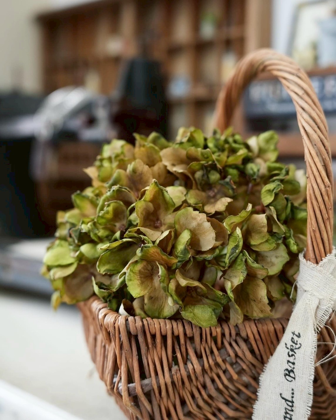 シックな大人っぽ紫陽花
