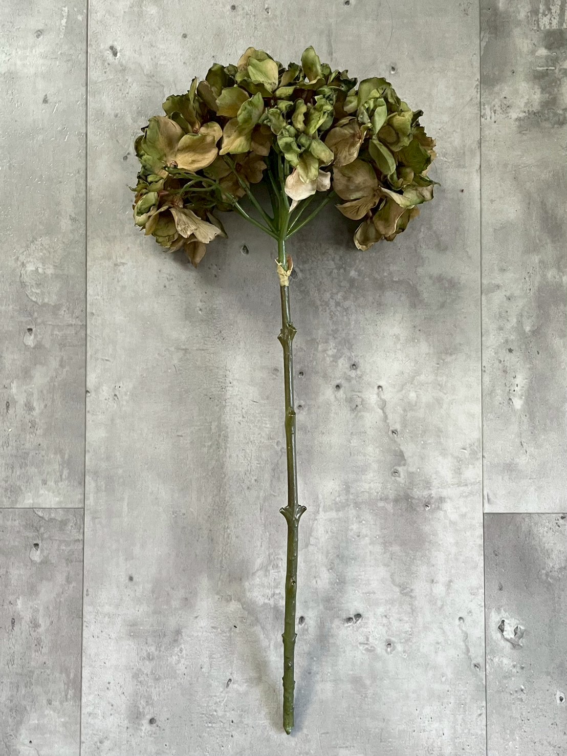 シックな大人っぽ紫陽花