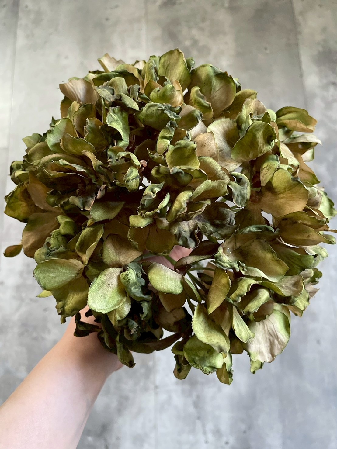 シックな大人っぽ紫陽花