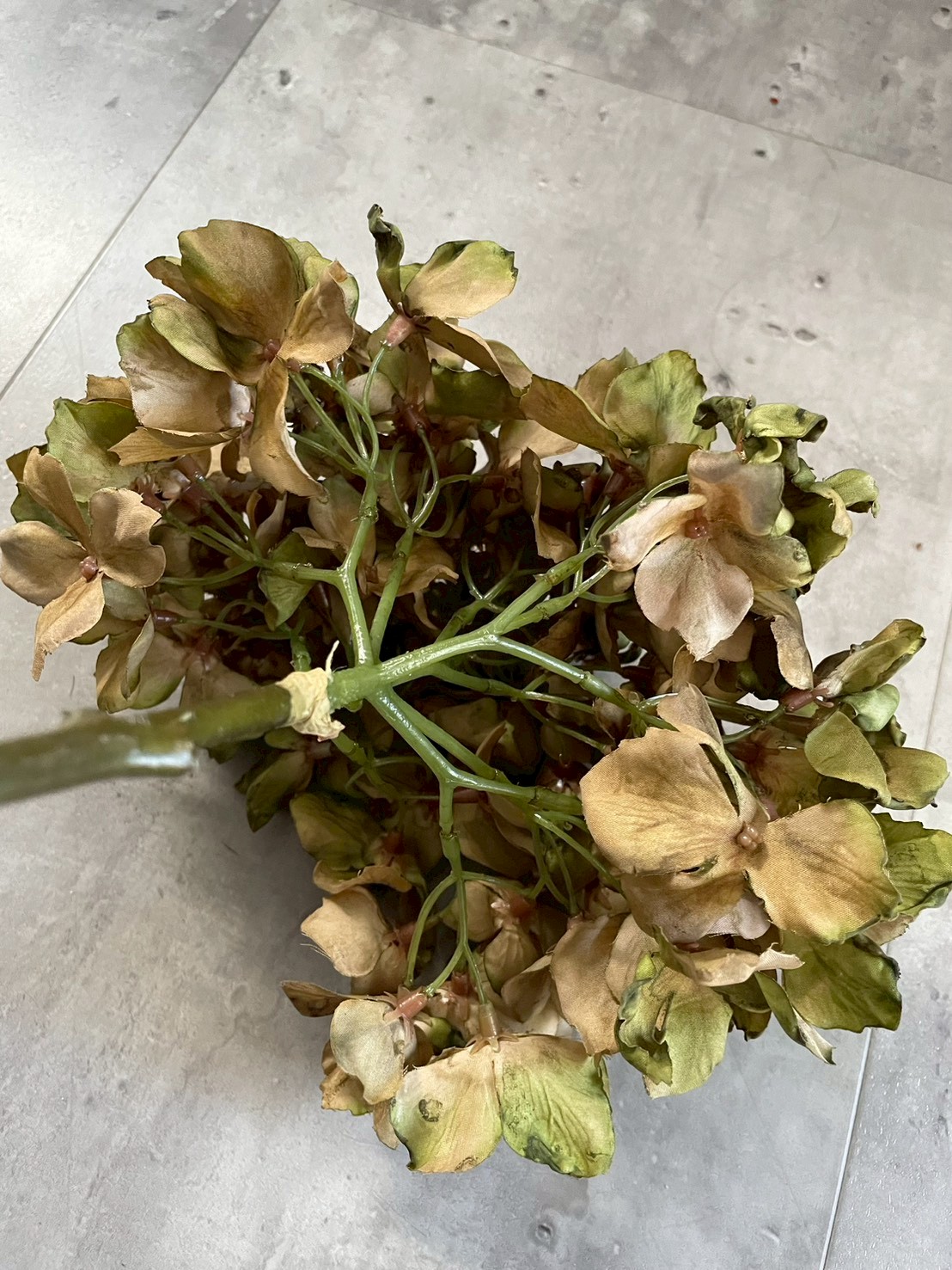 シックな大人っぽ紫陽花