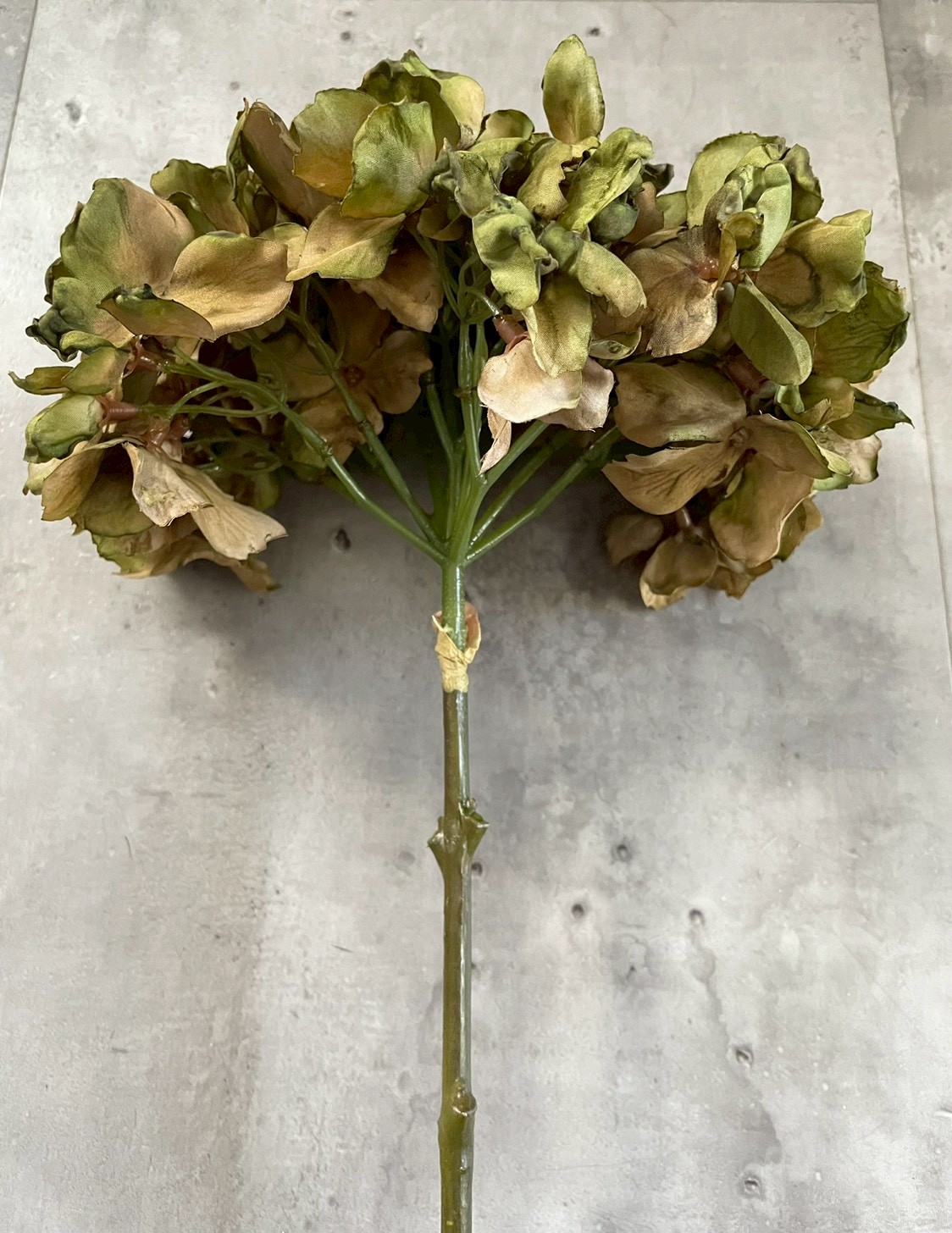 シックな大人っぽ紫陽花