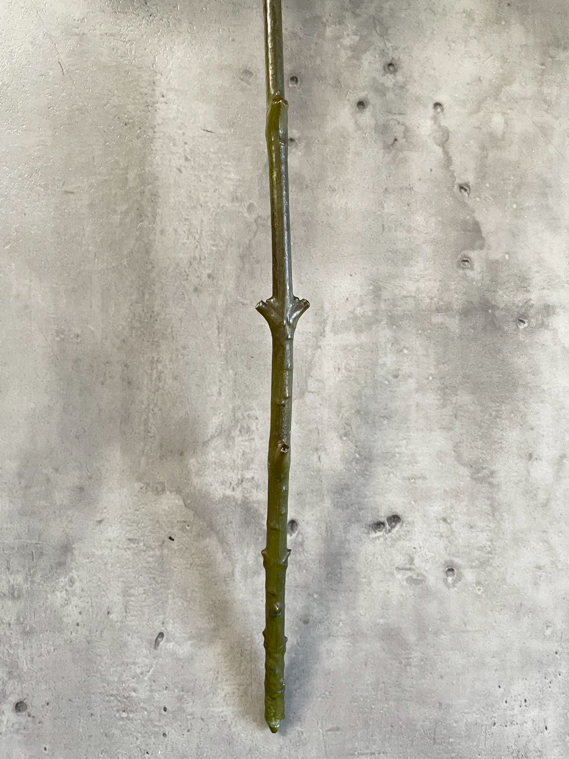 シックな大人っぽ紫陽花