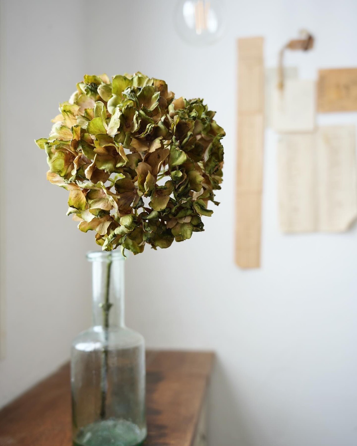 シックな大人っぽ紫陽花