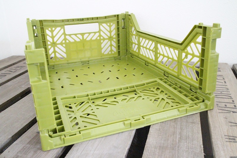 カラーコンテナM (オリーブ)