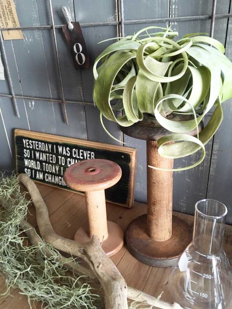 くるくるキセロL