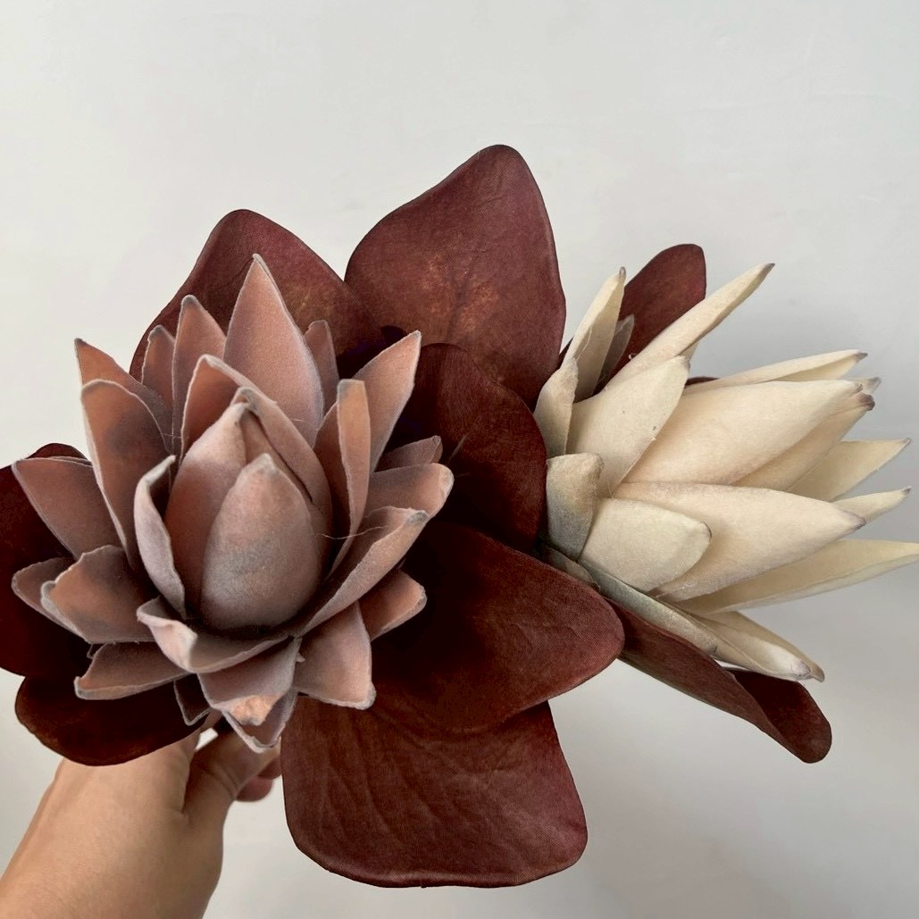 大人っぽプロテア