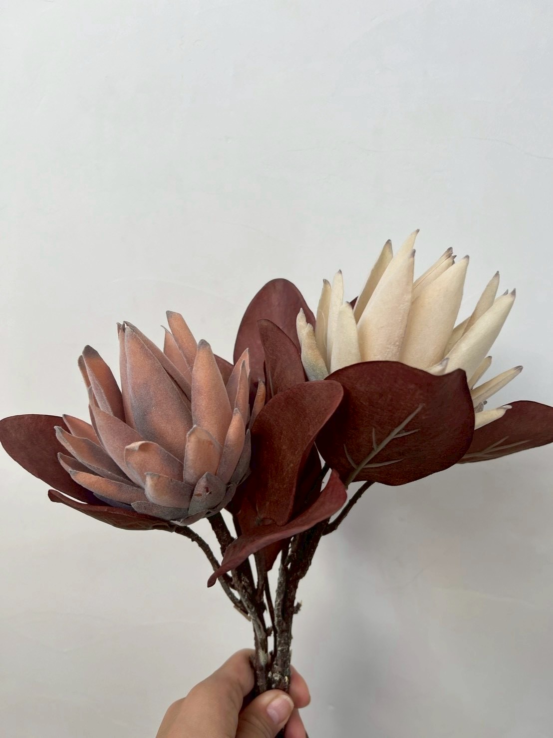 大人っぽプロテア