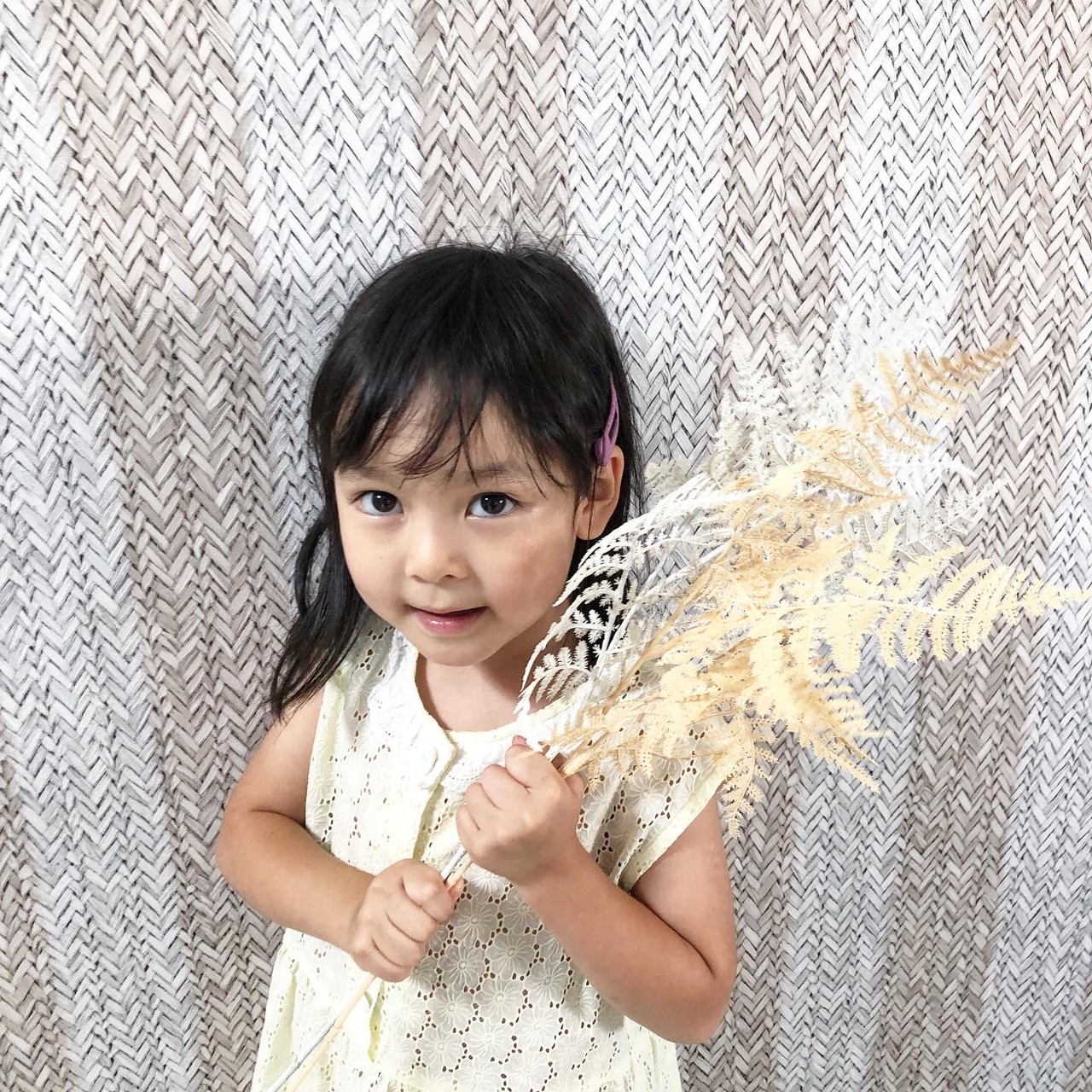 ベージュ色のアスパラガスの葉っぱ