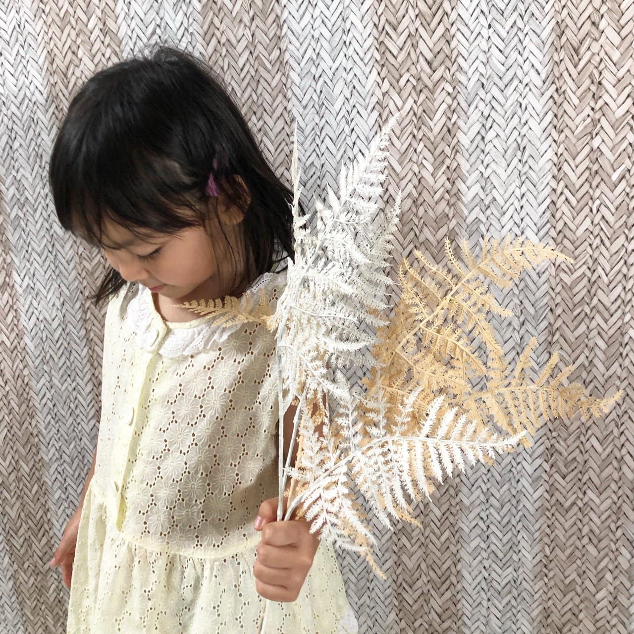 ベージュ色のアスパラガスの葉っぱ