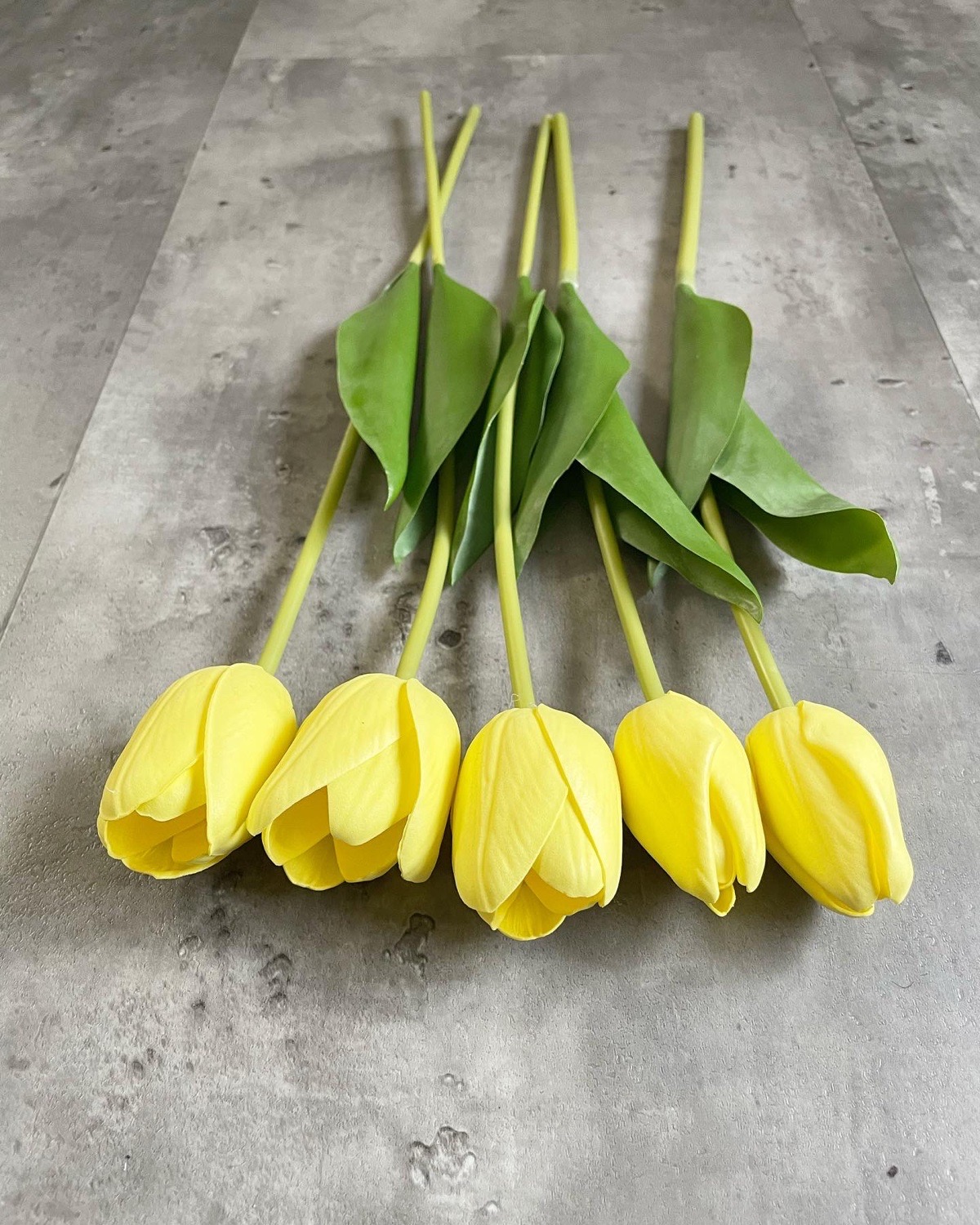 5本束のチューリップ(イエロー)