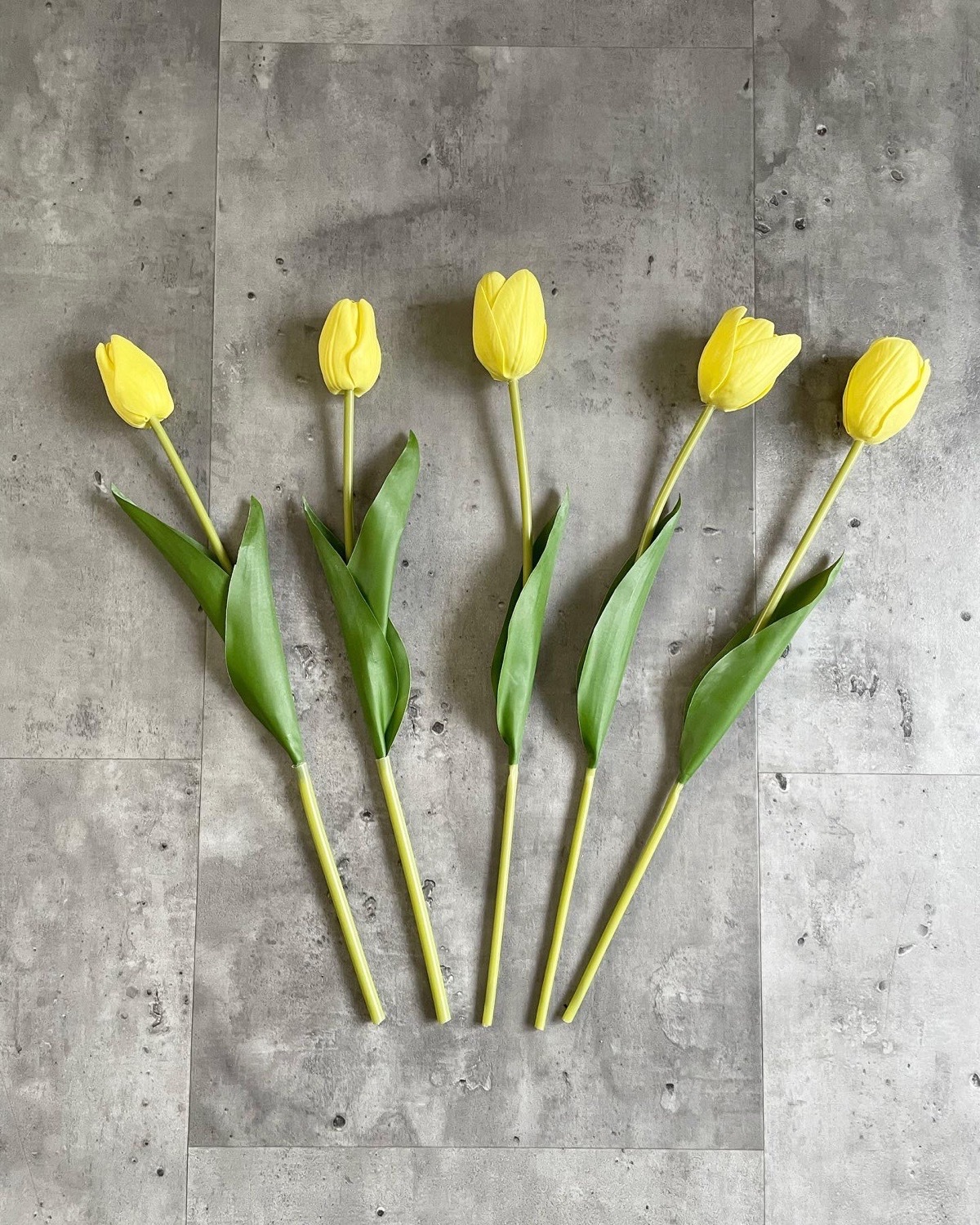 5本束のチューリップ(イエロー)
