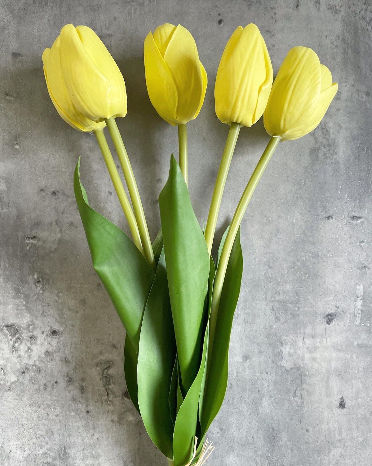 5本束のチューリップ(イエロー)