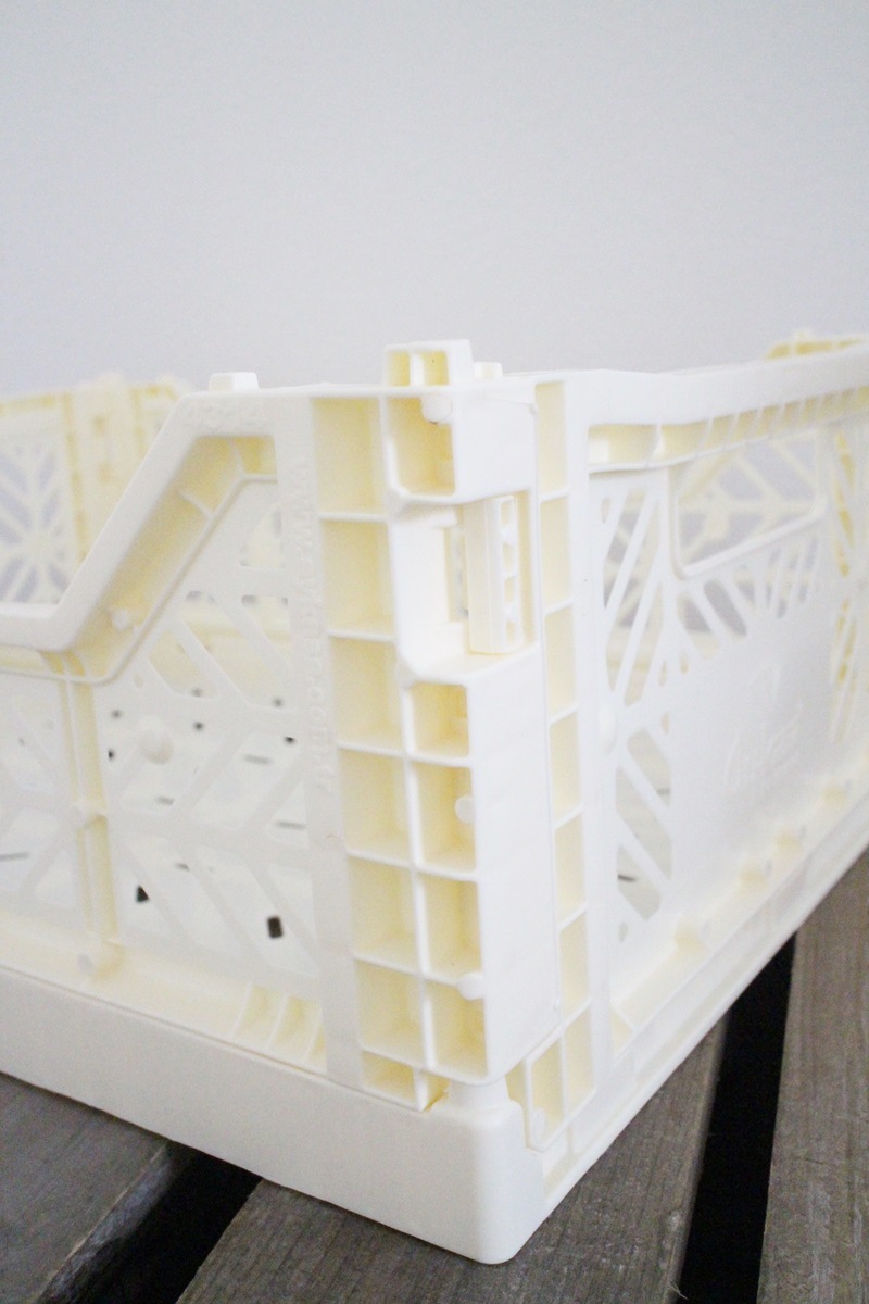 カラーコンテナM (バニラ)