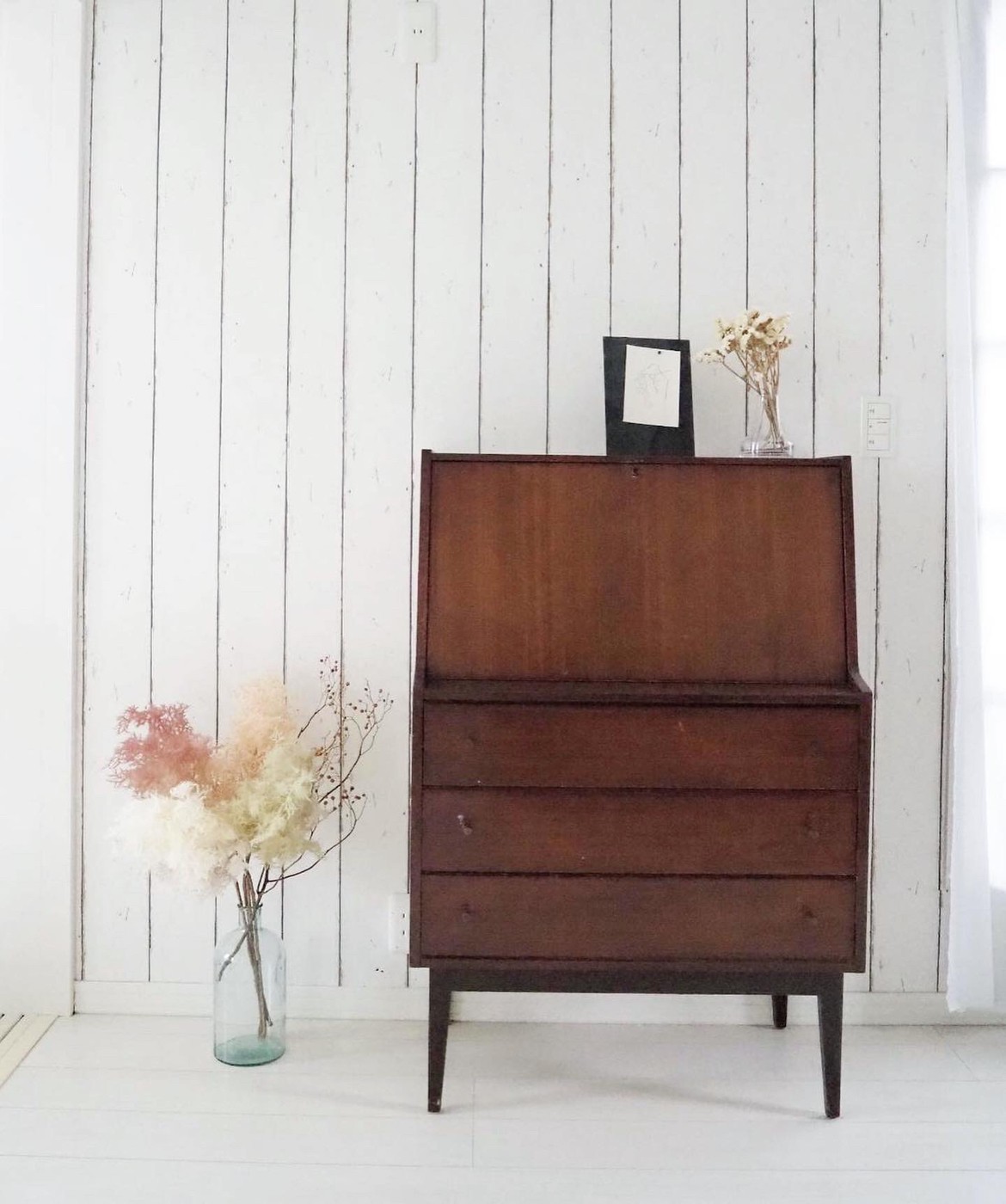 もふもふスモークツリー