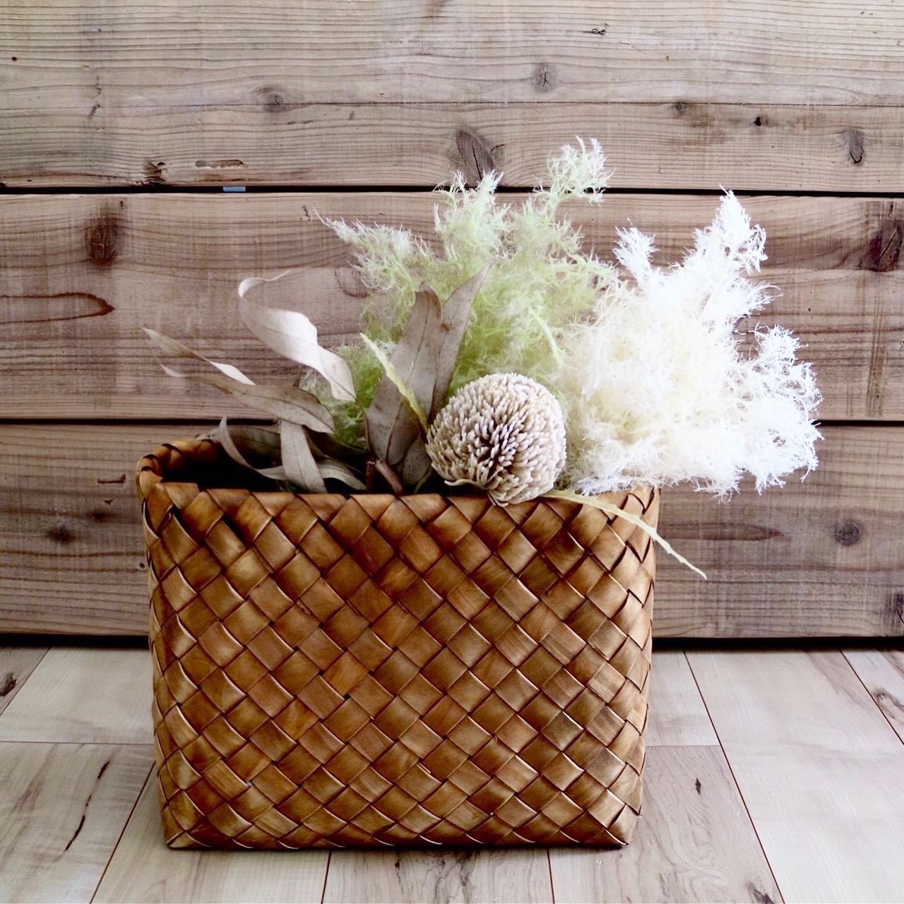 もふもふスモークツリー