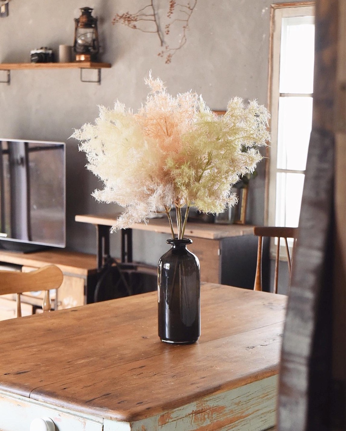 もふもふスモークツリー