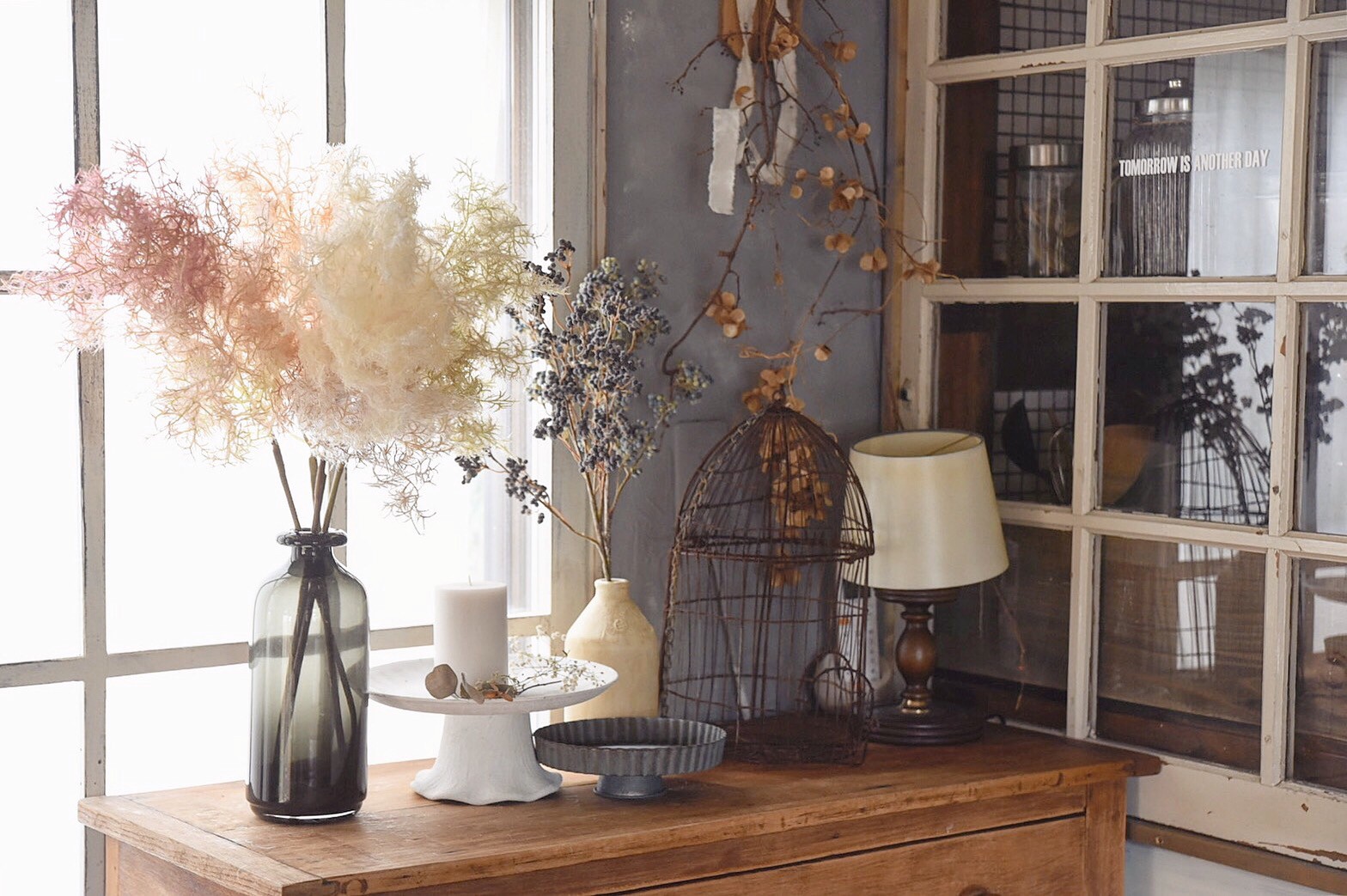 もふもふスモークツリー