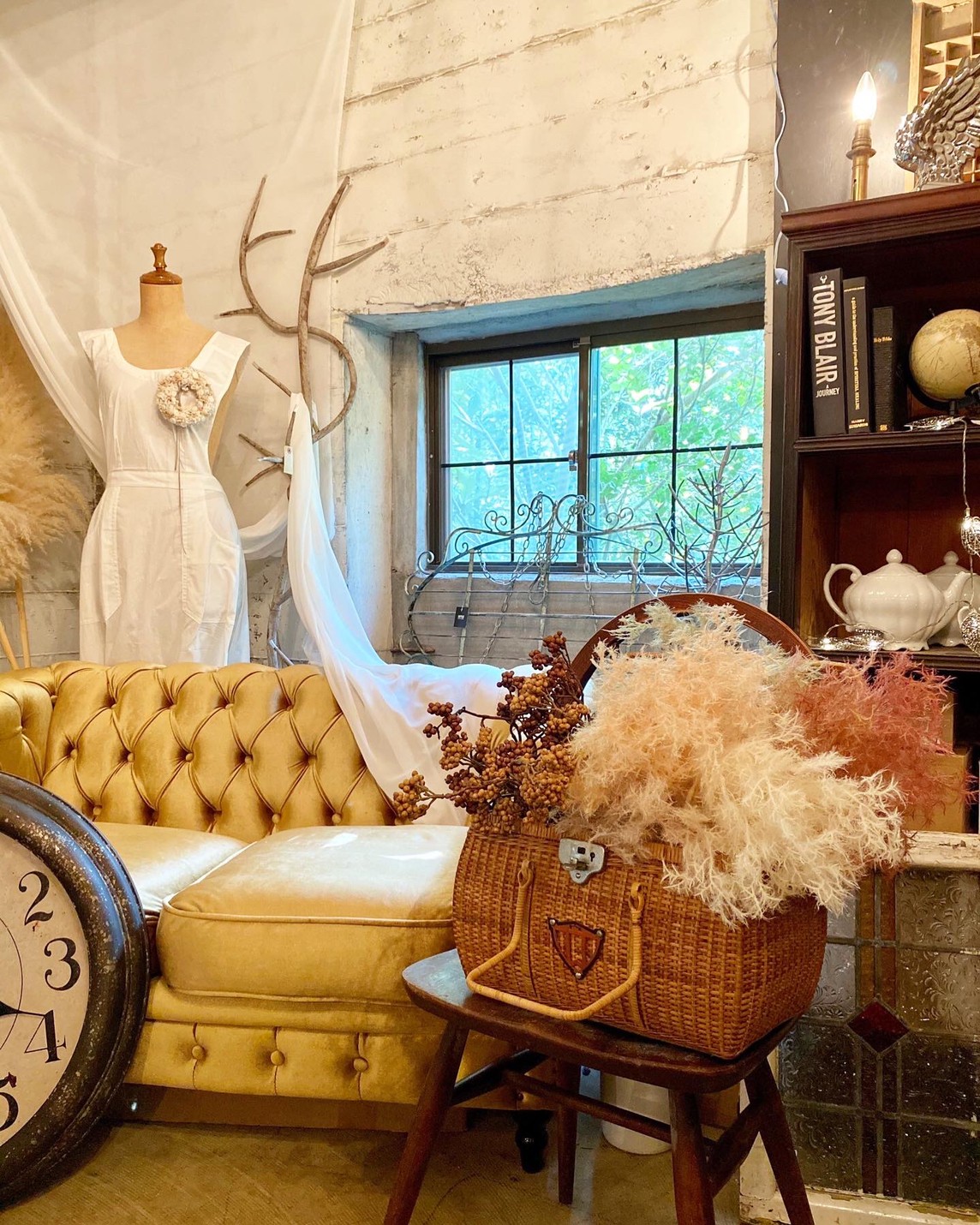 もふもふスモークツリー