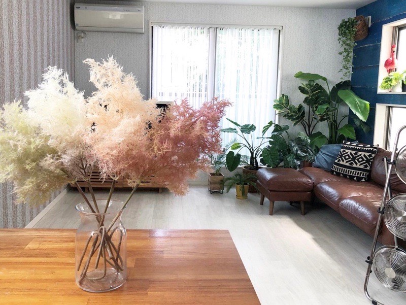 もふもふスモークツリー