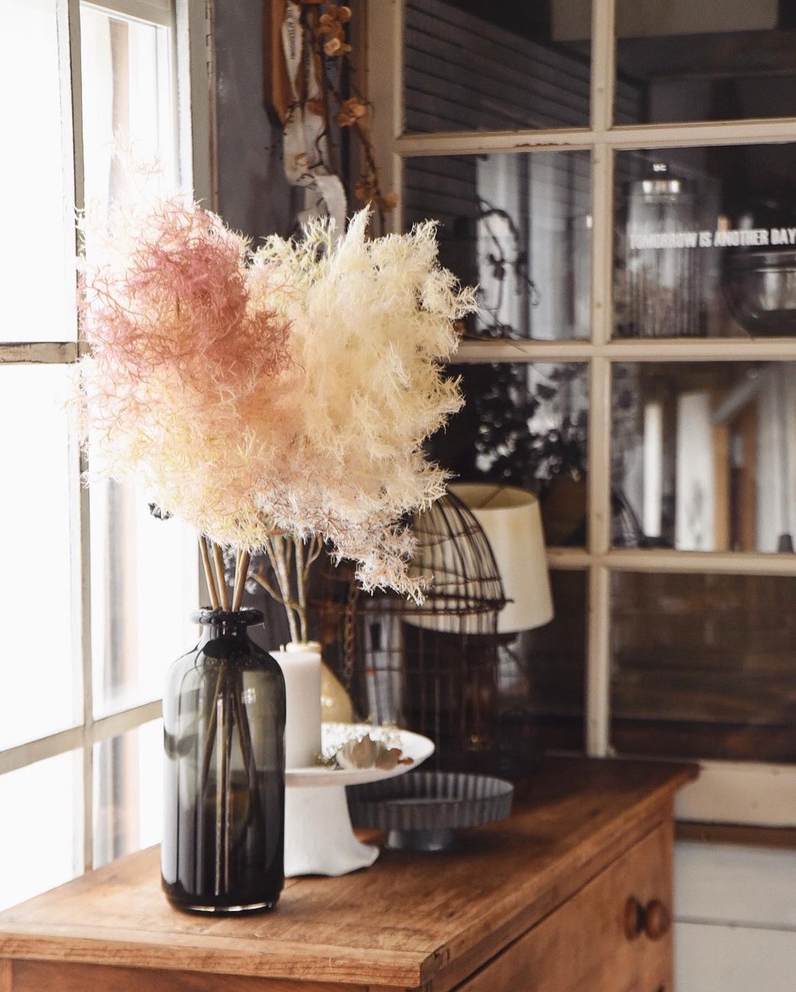 もふもふスモークツリー