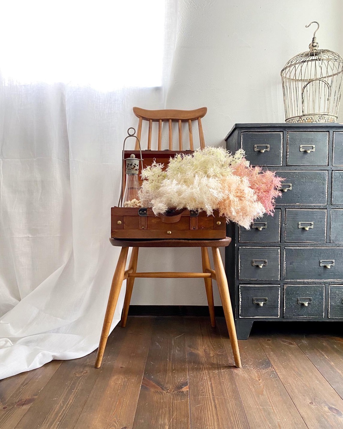 もふもふスモークツリー