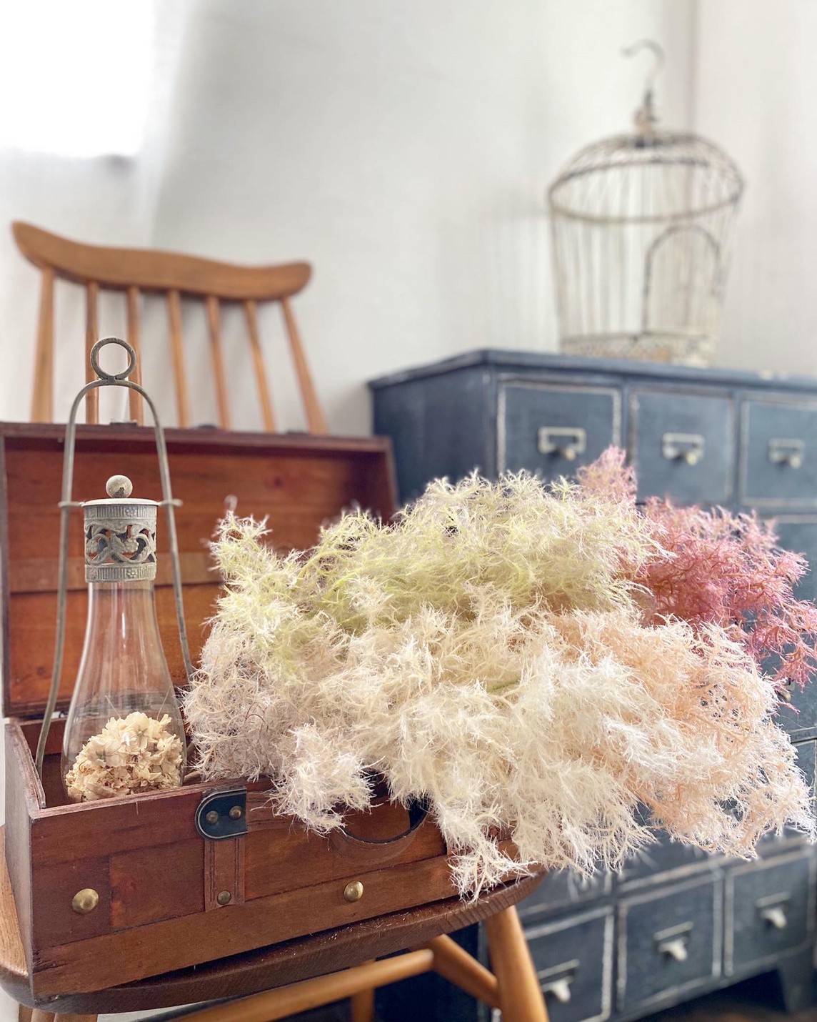 もふもふスモークツリー