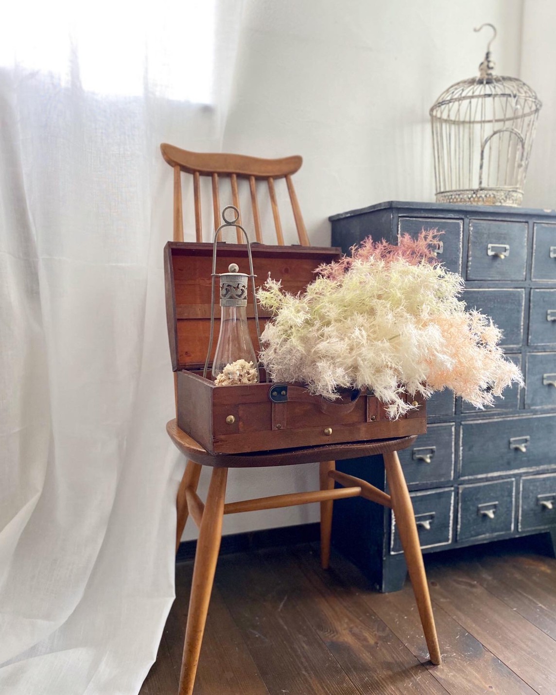 もふもふスモークツリー