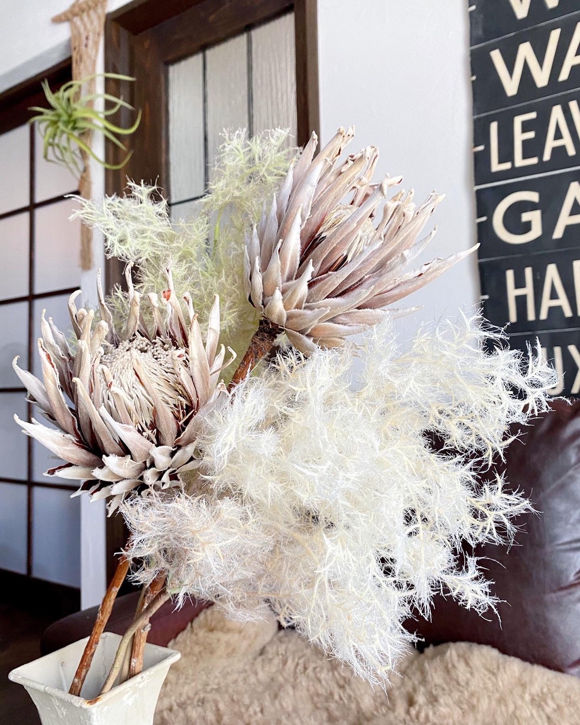 もふもふスモークツリー