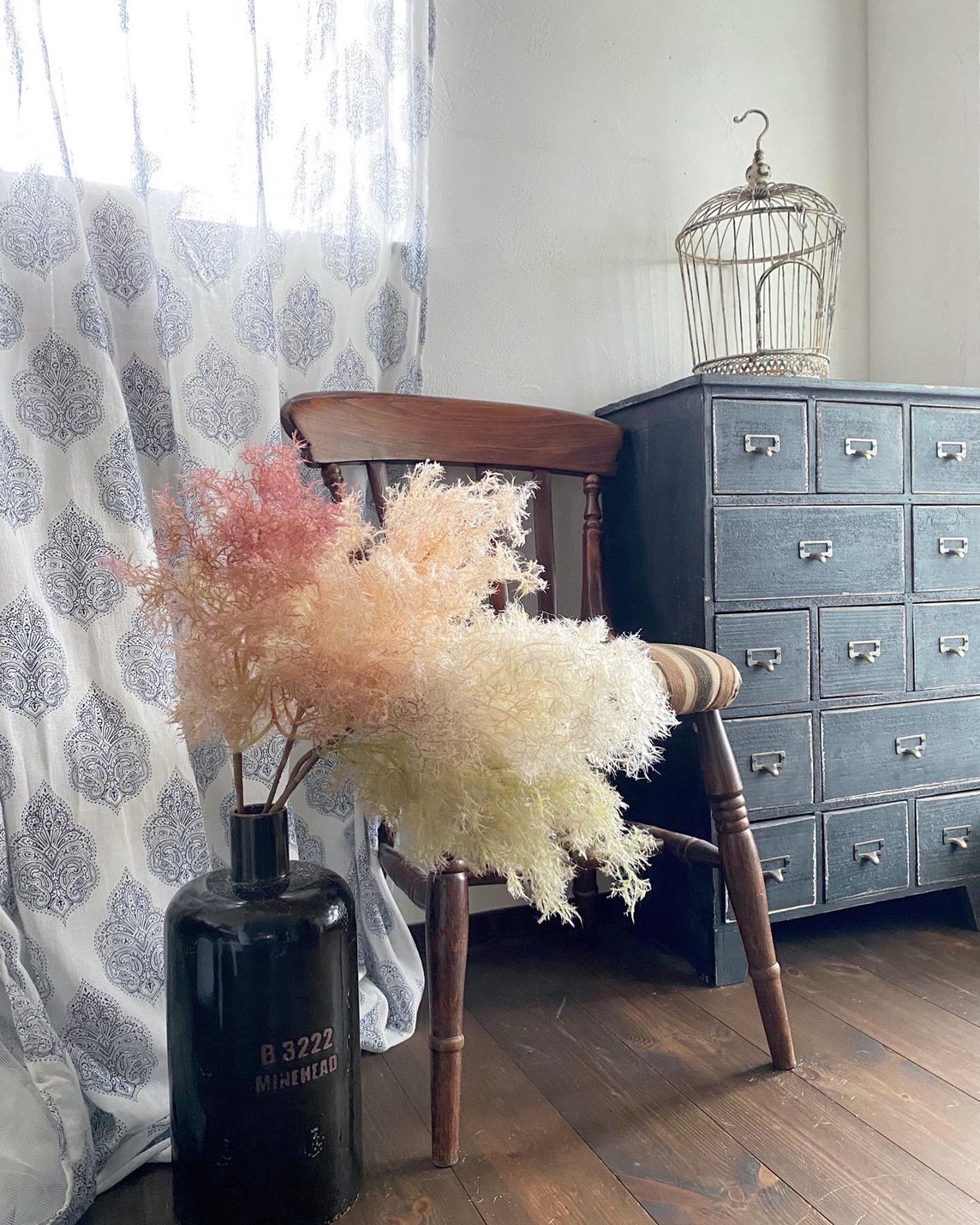 もふもふスモークツリー