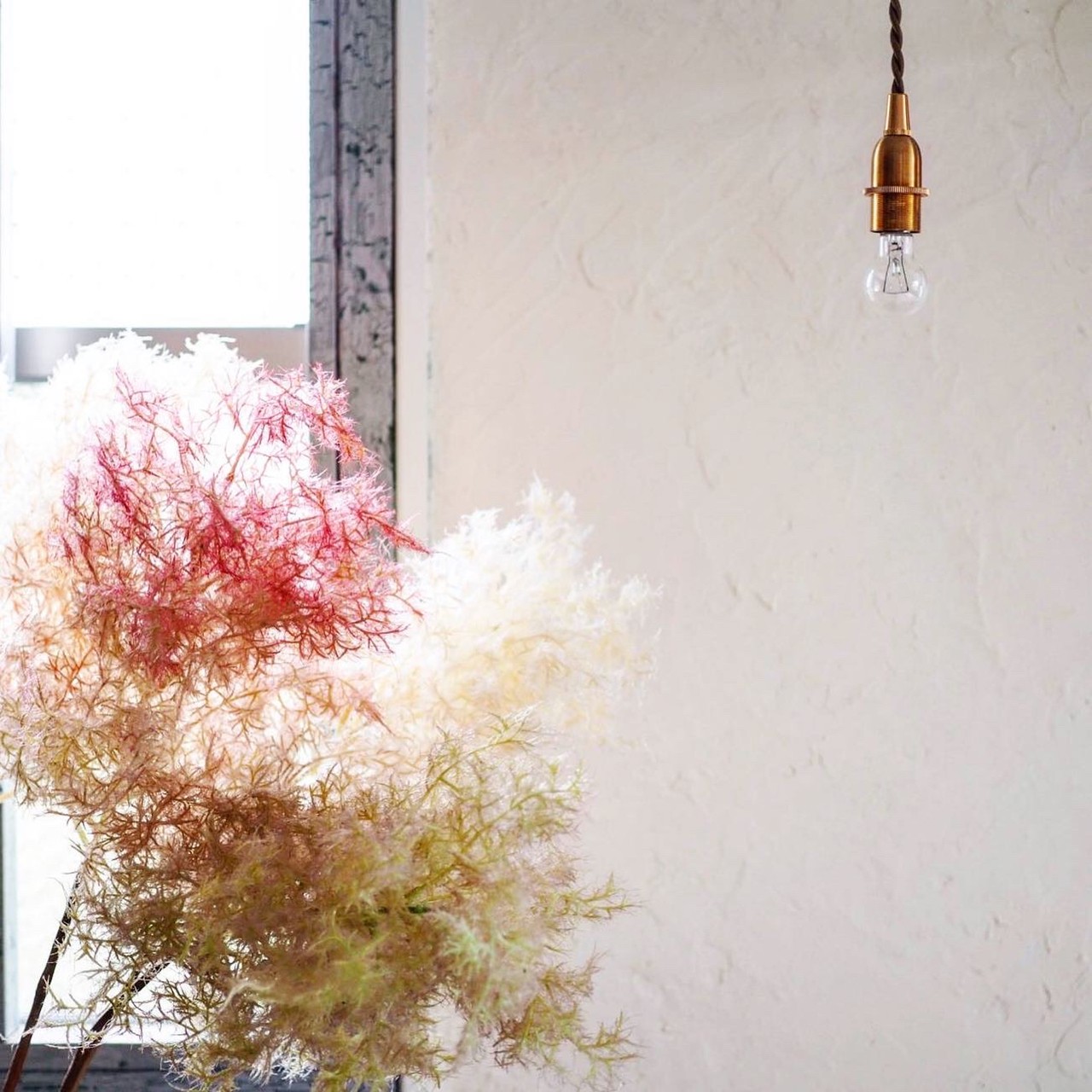 もふもふスモークツリー