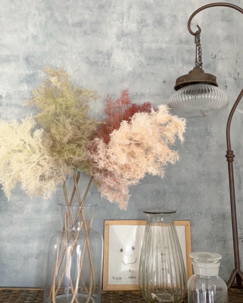 もふもふスモークツリー