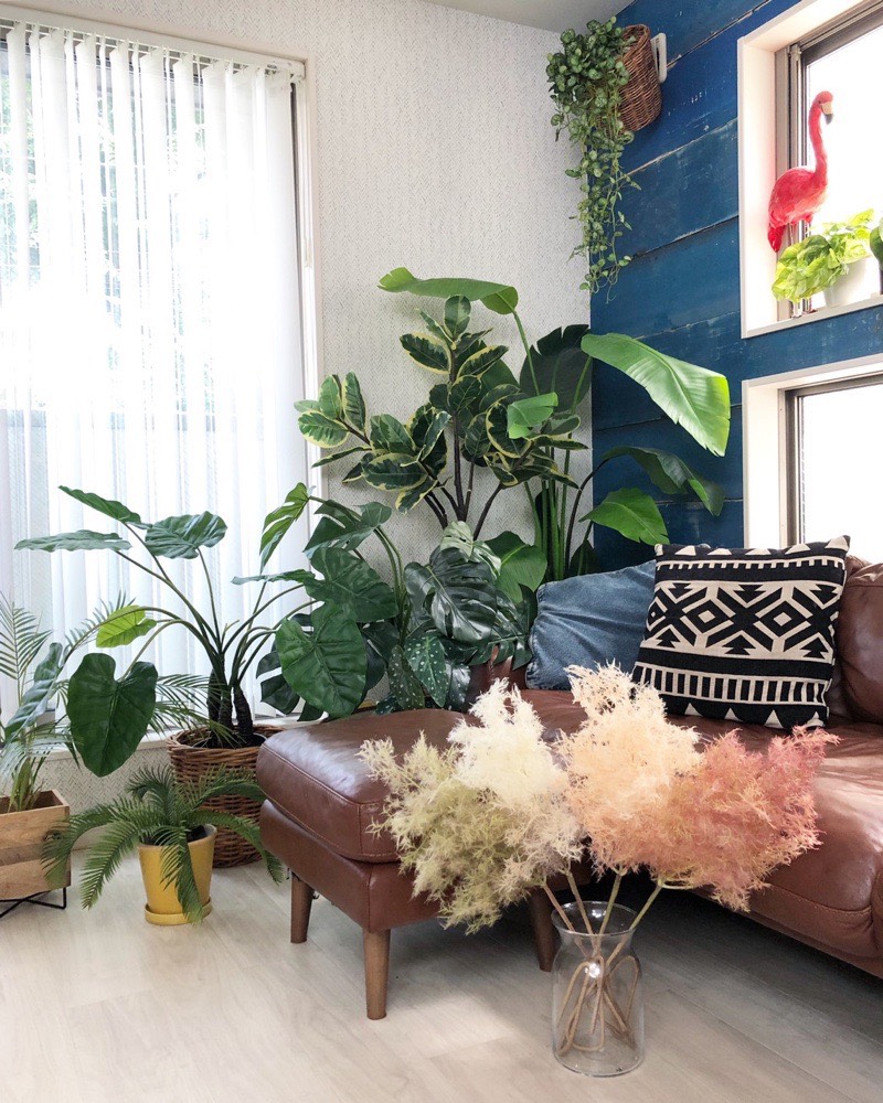 もふもふスモークツリー