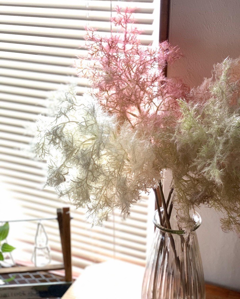 もふもふスモークツリー