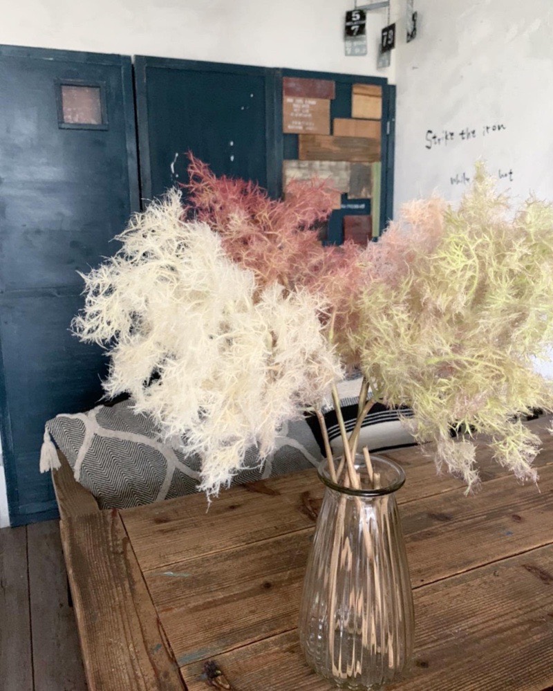 もふもふスモークツリー