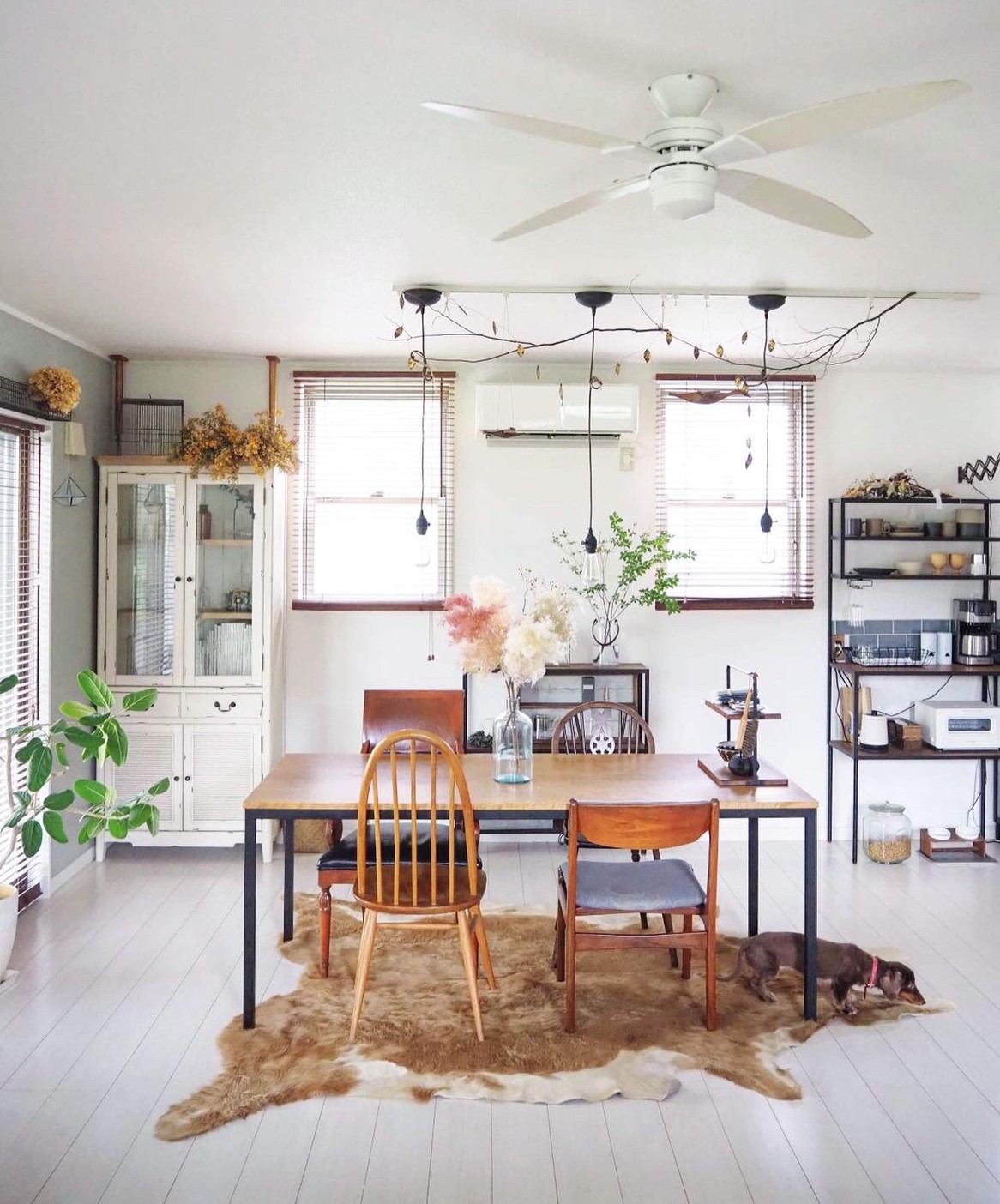 もふもふスモークツリー