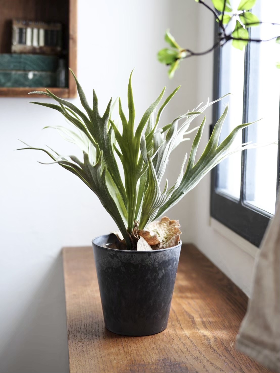 ツンツン葉っぱのコウモリランL|おしゃれなフェイクグリーン・人工観葉