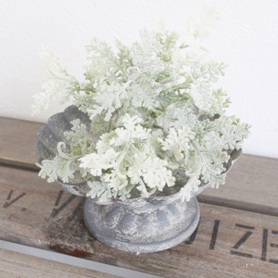 ホワイトグリーンレースピック