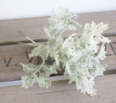 ホワイトグリーンレースピック