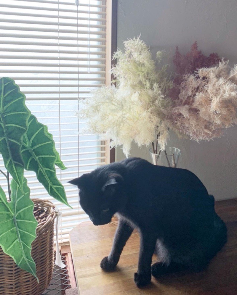 くびれガラス瓶（高さ26cm）