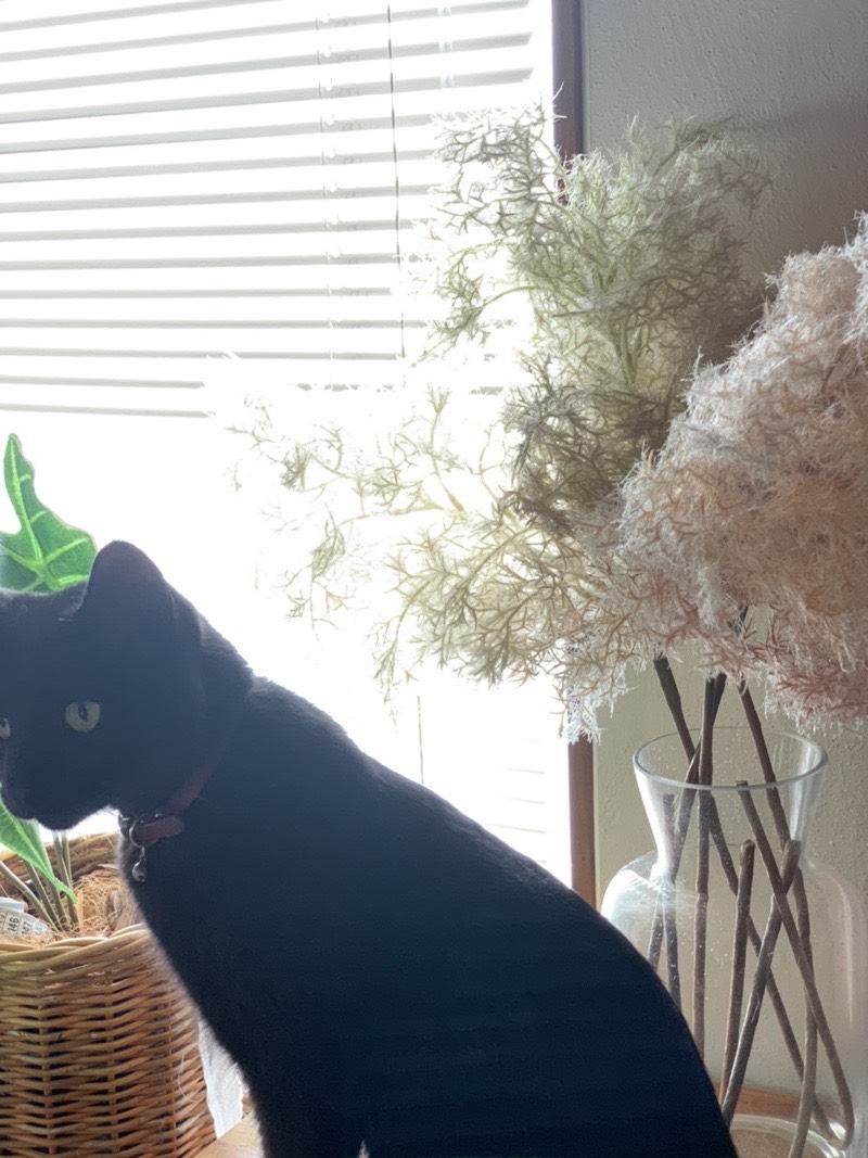 くびれガラス瓶（高さ26cm）