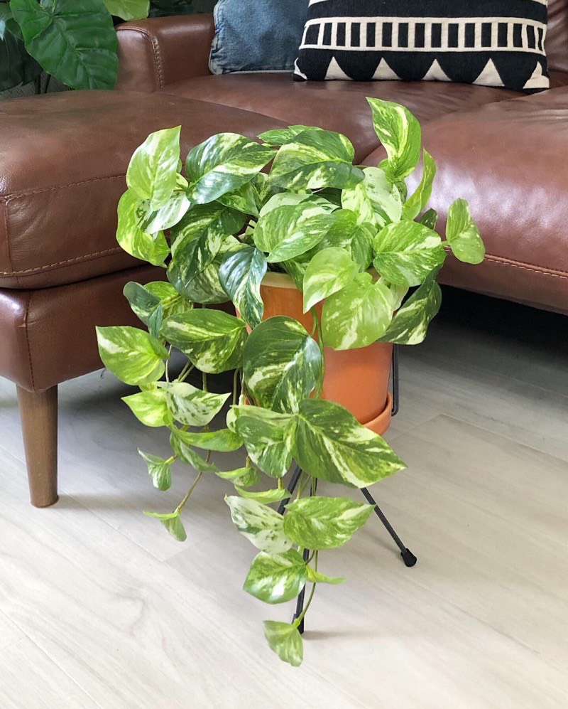 鉢スタンド(幅17.5cm/高さ25cm)