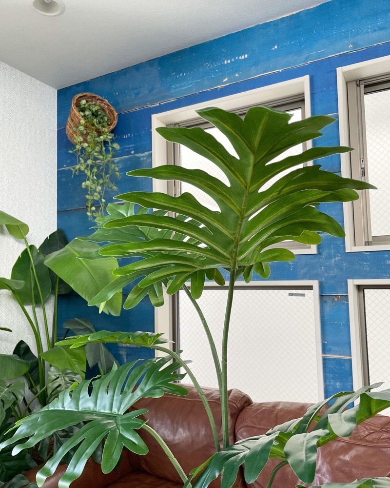 ̵ۥդäѤΥեǥɥ