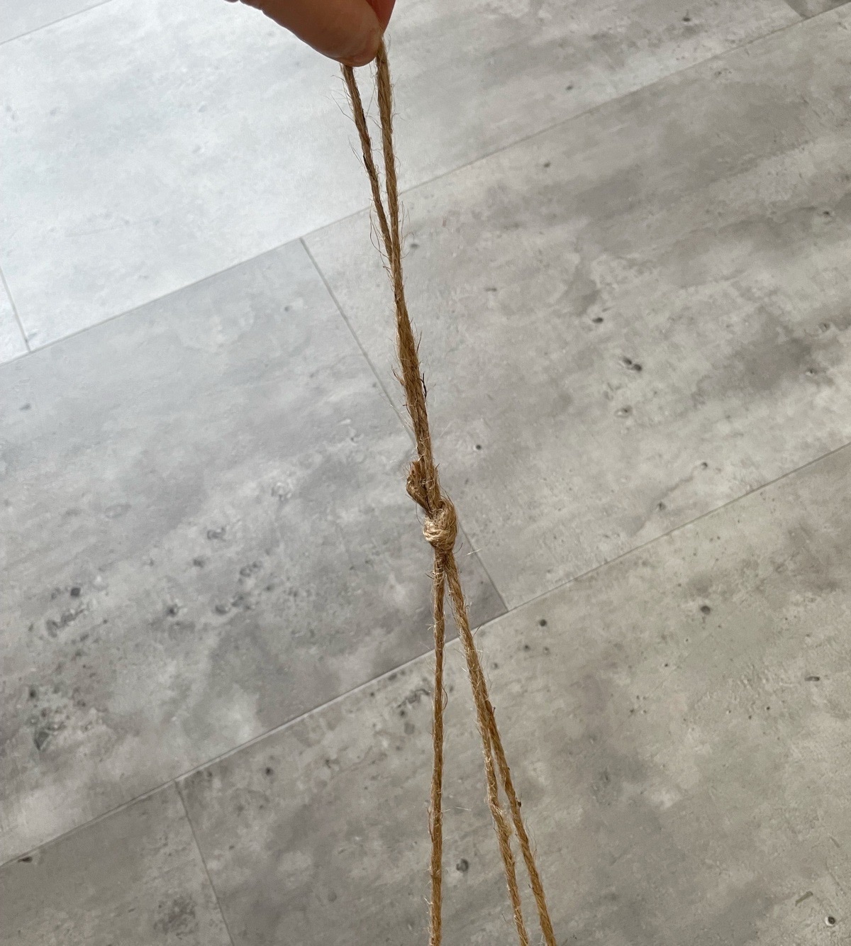 ぶらぶらモシャモシャリプサリス