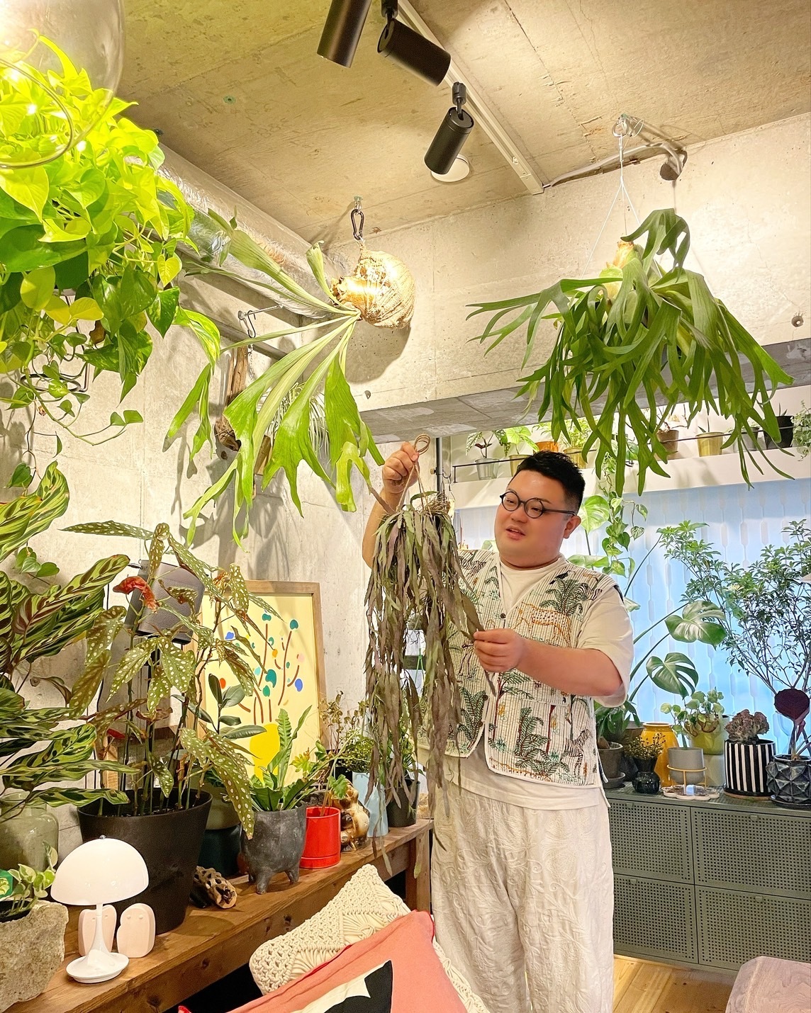 ぶらぶらモシャモシャリプサリス