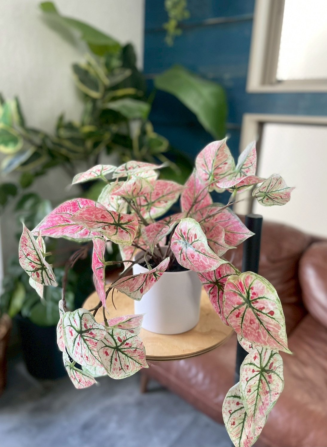 ピンクなトロピカルカラジューム