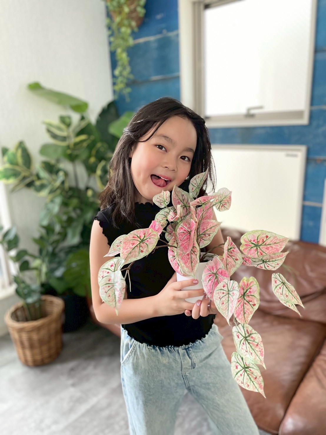 ピンクなトロピカルカラジューム