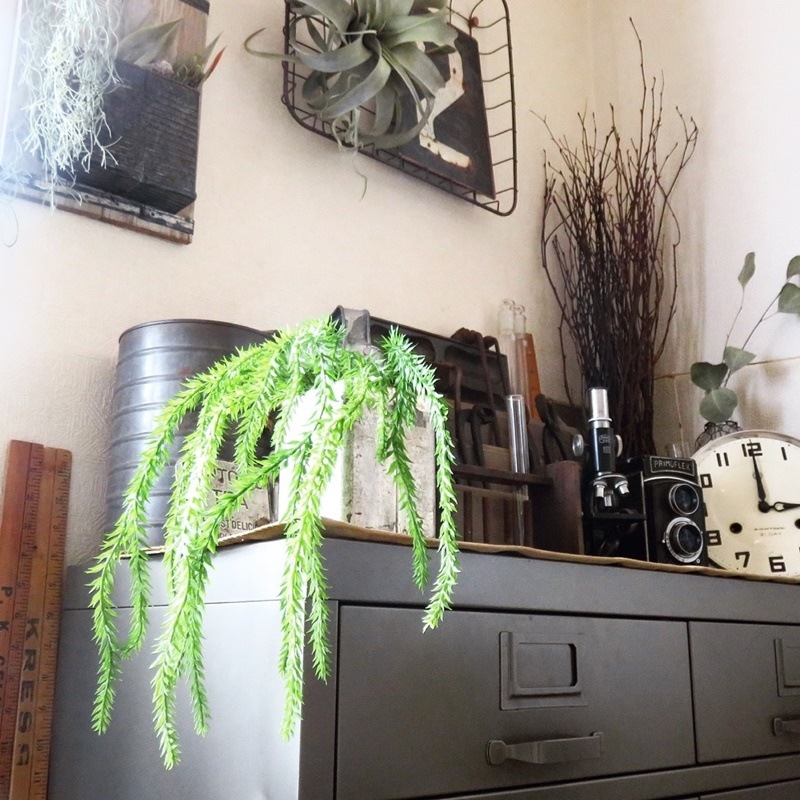 リコポディウム