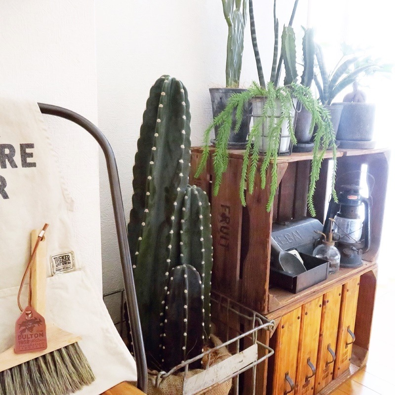 リコポディウム